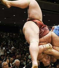 Борьба сумо: история, правила, особенности техники и самые интересные факты